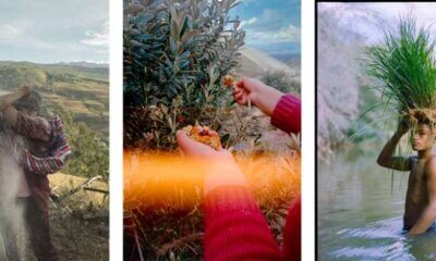 World Photography Awards 2025